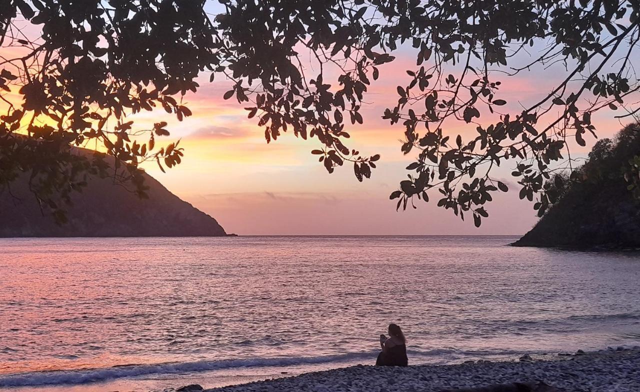 Wachakyta Ecolodge Calabazo  Dış mekan fotoğraf